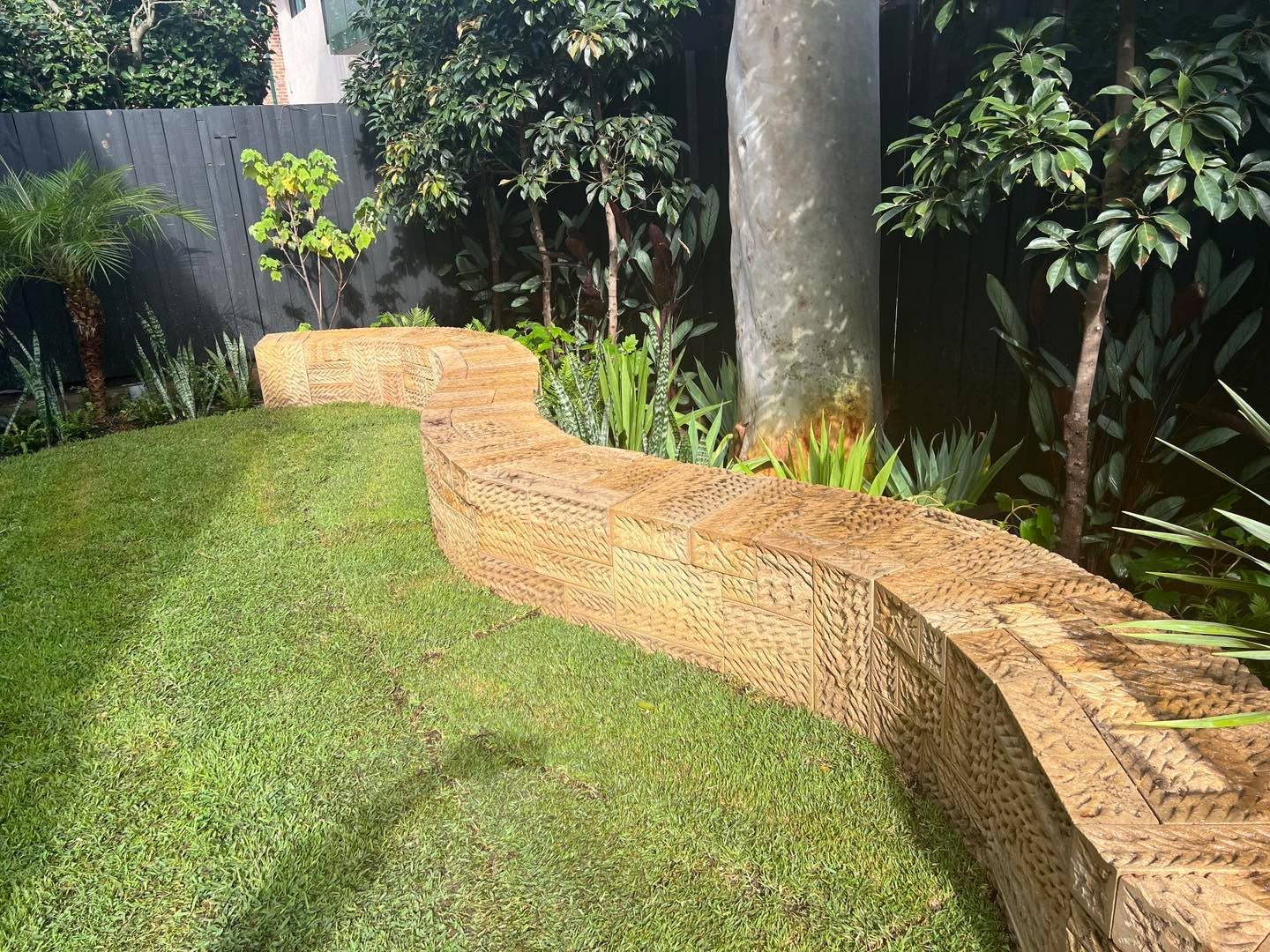 Hand-tooled sandstone retaining wall curving through lawn and tropical planting