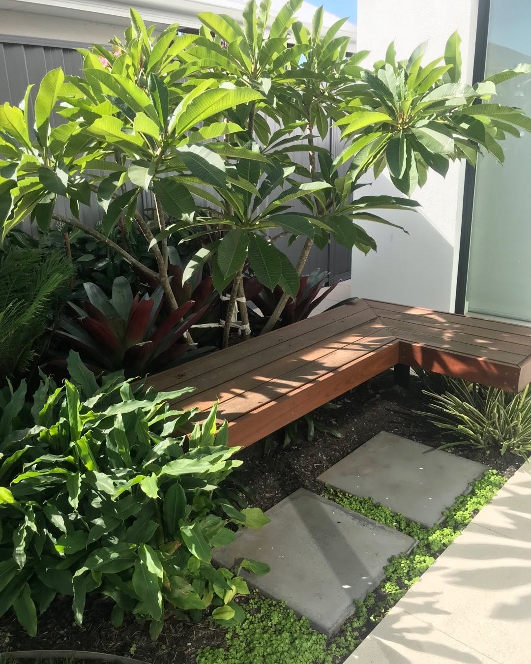 Tropical planting bed with frangipani, bromeliads and floating hardwood bench