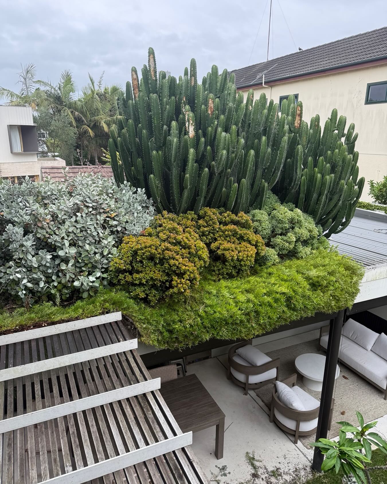 Landscaped garden by Townsend Landscaping