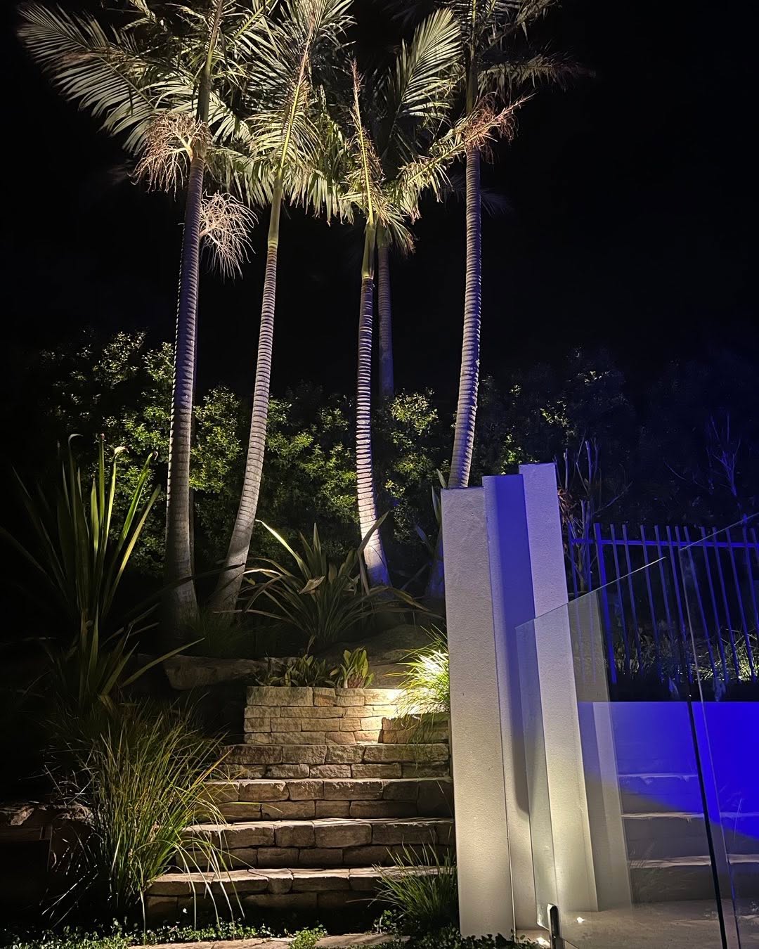 Uplit palms and sandstone steps beside a glass pool fence at night