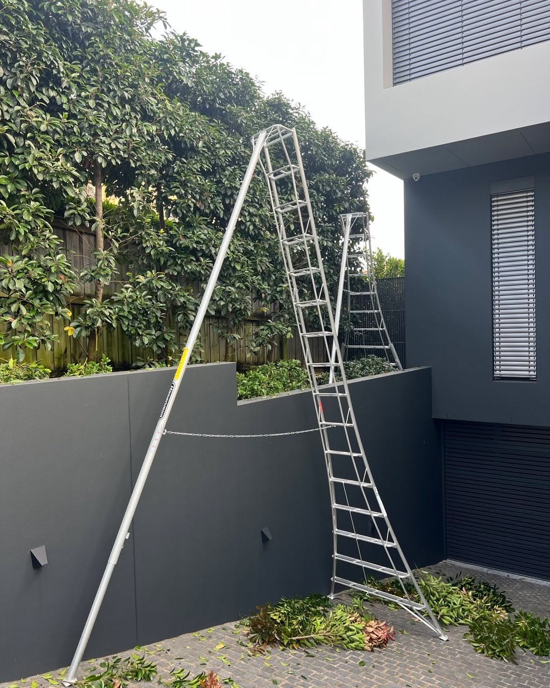 Landscaped garden by Townsend Landscaping